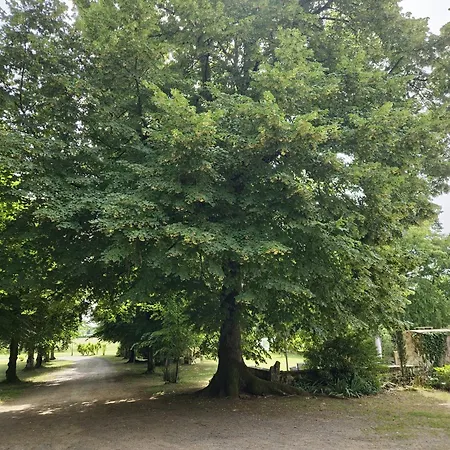 Le Manoir Des Turets Гостевой дом